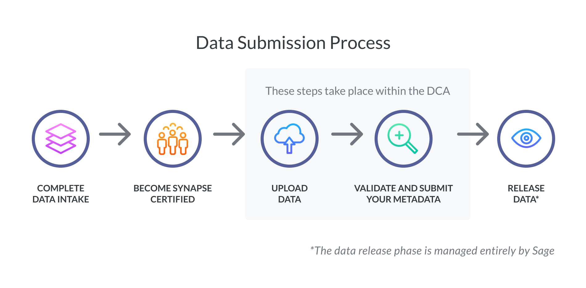 data submission process, complete data intake, become synapse certified, upload data, validate and submit your metadata, release data. The data release is managed entirely by Sage.